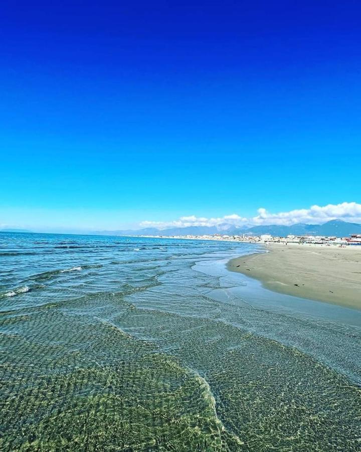 Hotel Pardini Viareggio Dış mekan fotoğraf