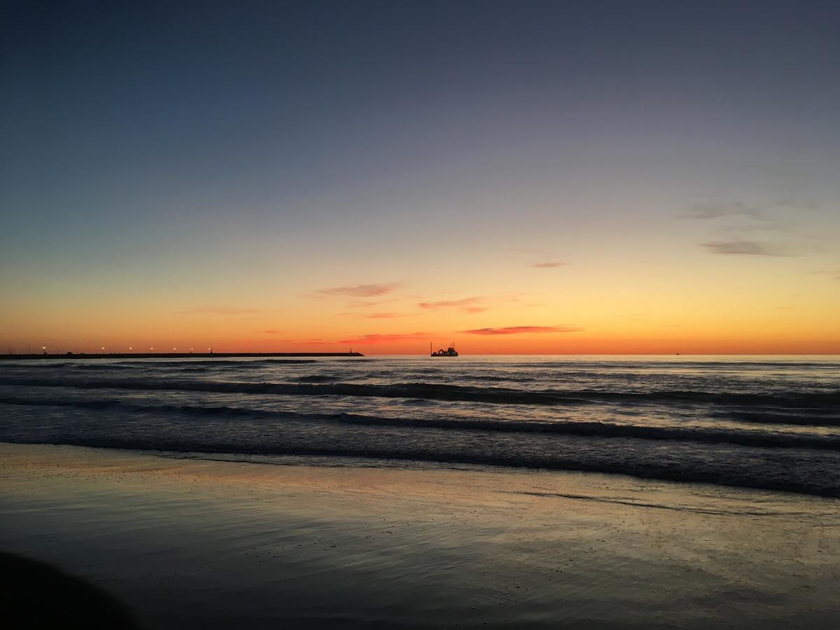 Hotel Pardini Viareggio Dış mekan fotoğraf