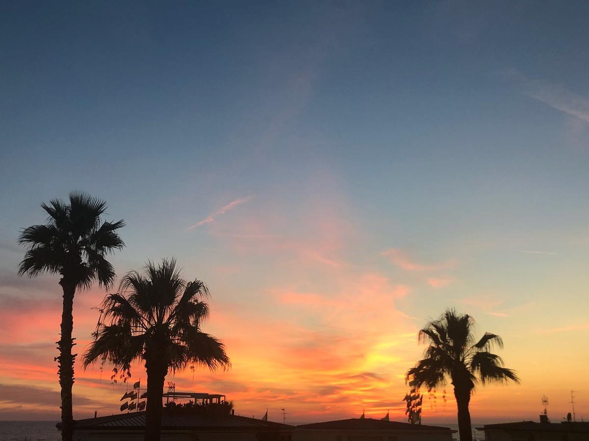 Hotel Pardini Viareggio Dış mekan fotoğraf